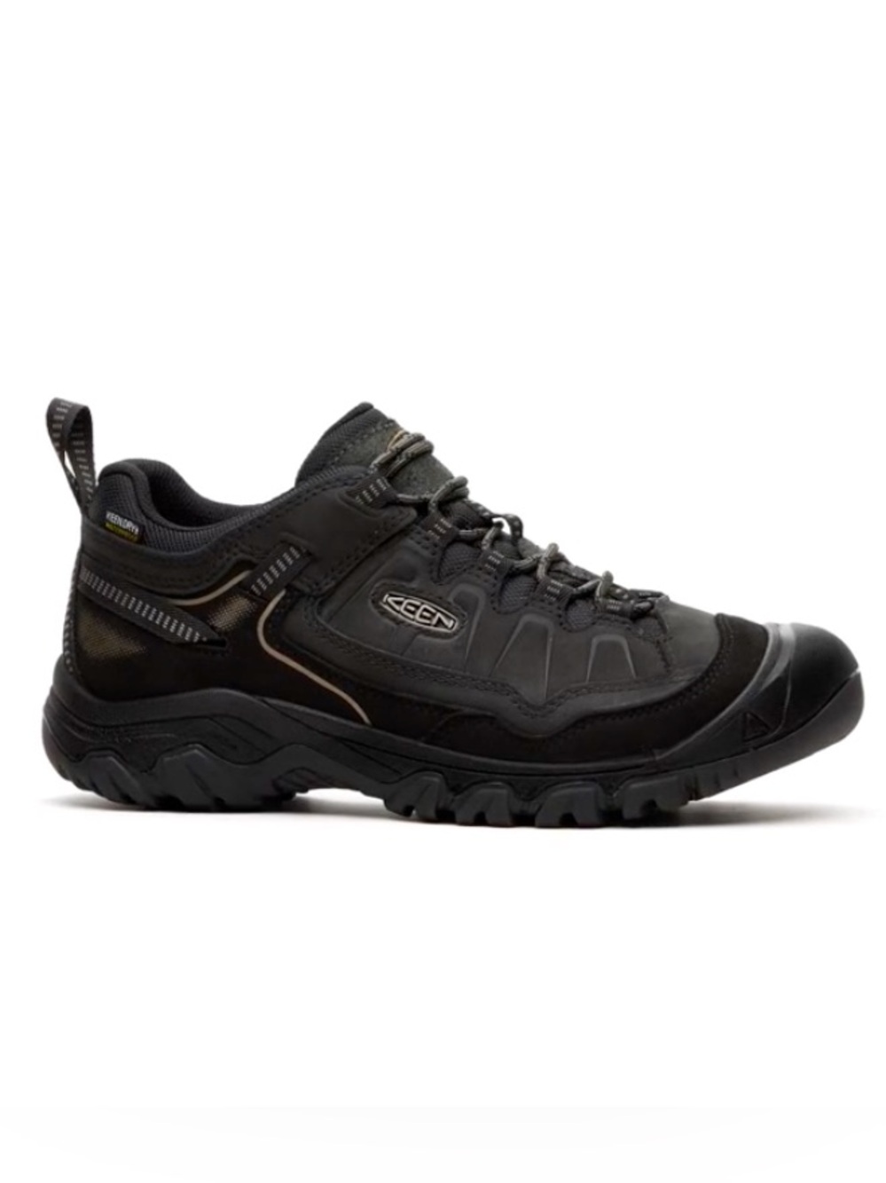 Men's Targhee IV Waterproof Hiking Shoe